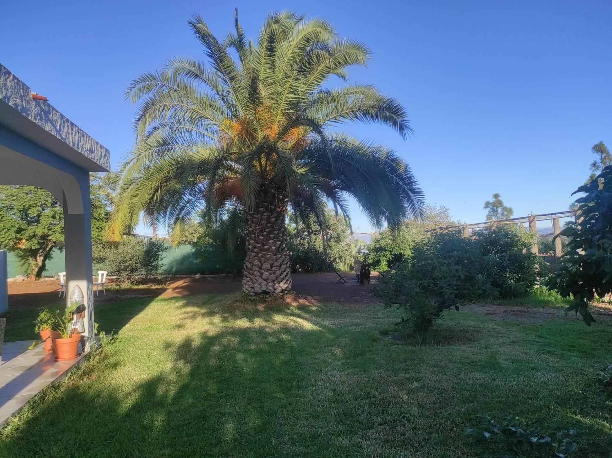 Cottage Gran Canaria Completely Renovated With Jacuzzi บัลเซกิโย ภายนอก รูปภาพ