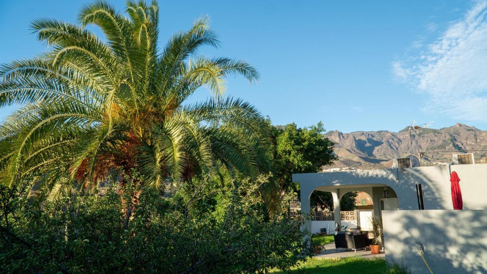 Cottage Gran Canaria Completely Renovated With Jacuzzi บัลเซกิโย ภายนอก รูปภาพ